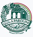 Logo liceo Parolini