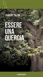 essere una quercia essere una quercia
